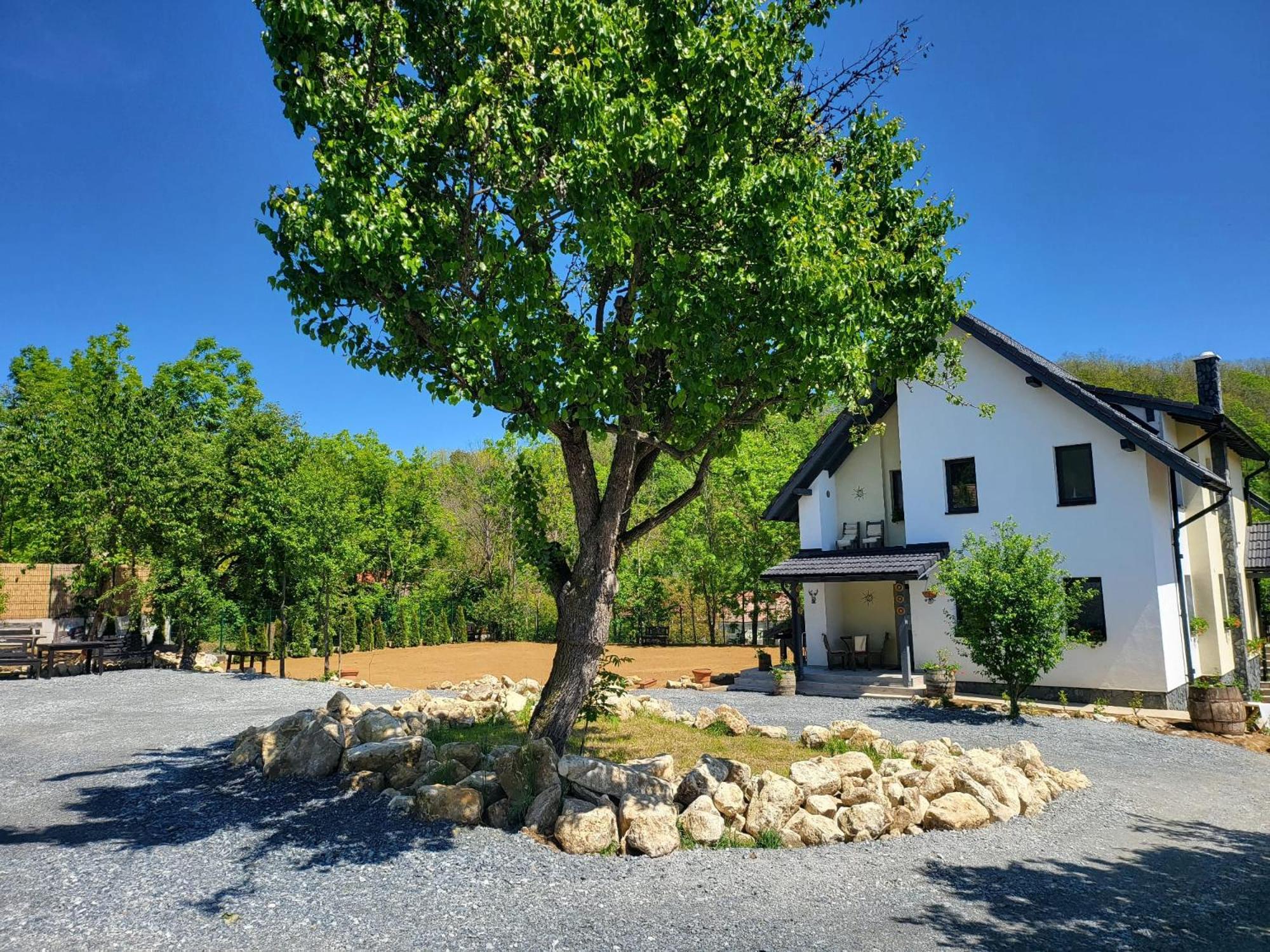 Pensiunea Casa Dacilor Podeni Buitenkant foto