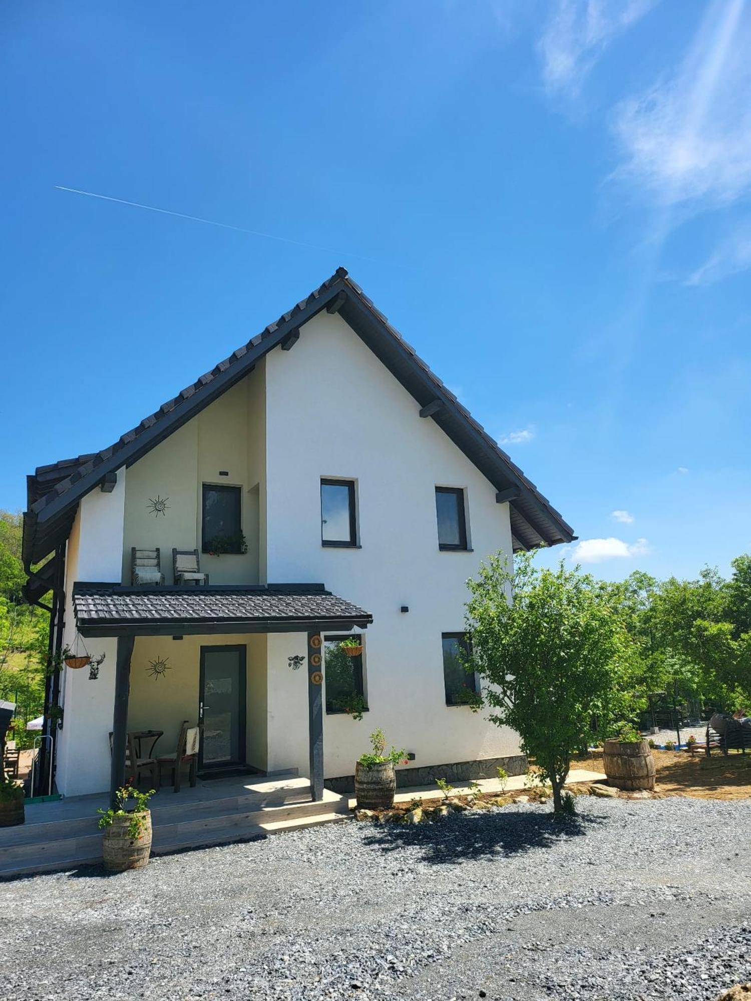 Pensiunea Casa Dacilor Podeni Buitenkant foto