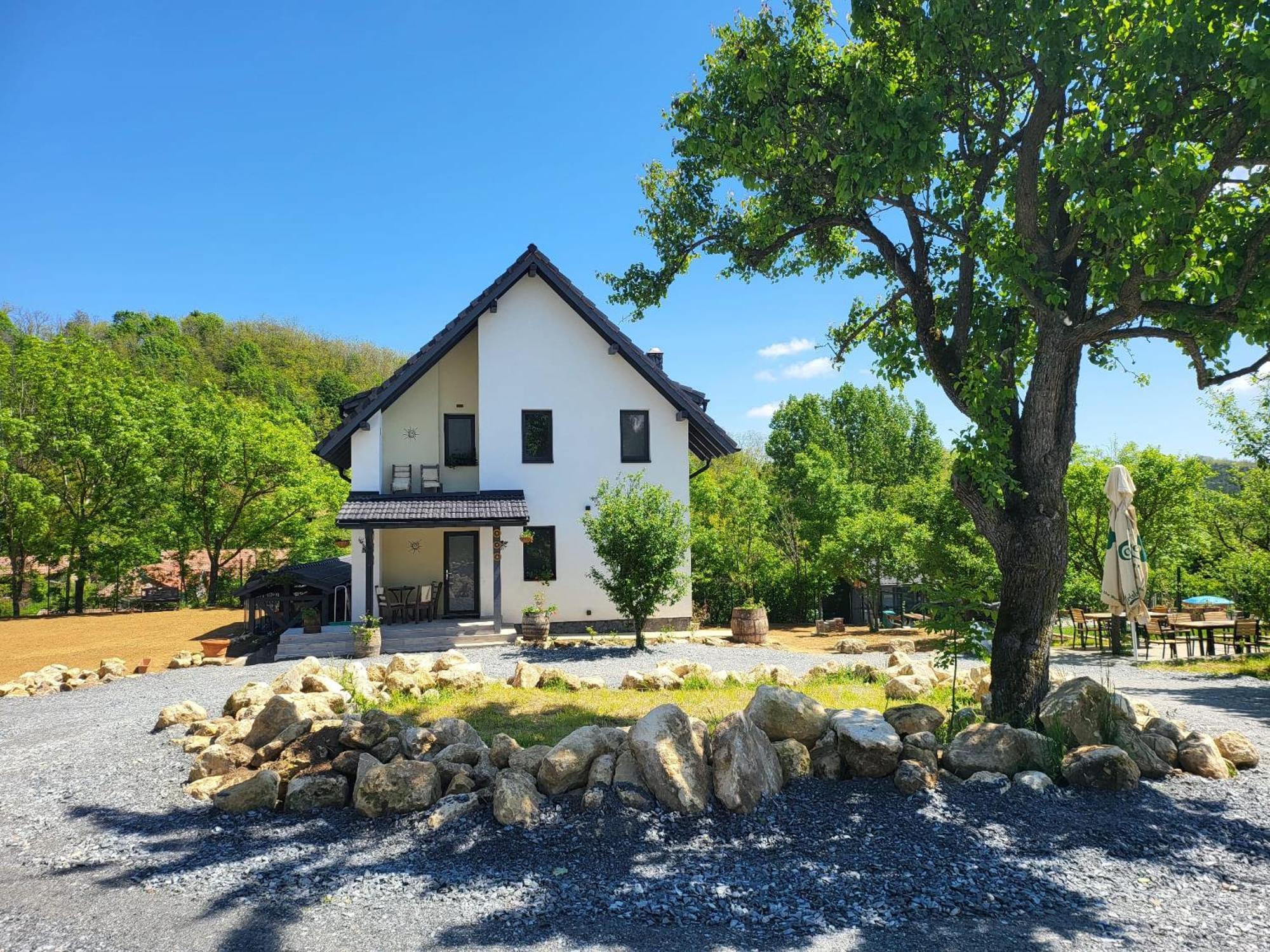 Pensiunea Casa Dacilor Podeni Buitenkant foto